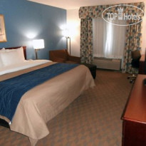 Comfort Inn & Suites Lees Summit Kansas City 