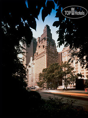 Фотографии отеля  The Ritz-Carlton Central Park 5*