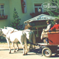 Kur- und Sporthotel Alpenblick 