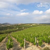 Scalani Hills Boutari Winery & Residences 