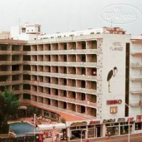Gran Hotel Flamingo 4*