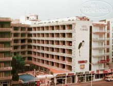 Gran Hotel Flamingo 4*