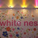 White Nest Hostel 