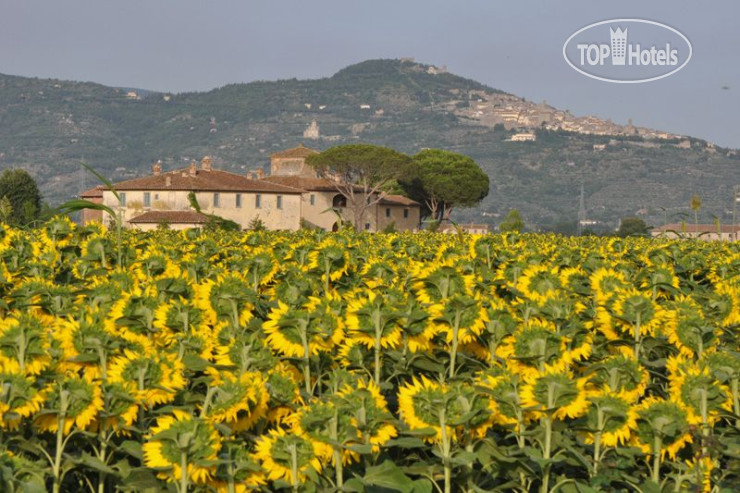 Фотографии отеля  Agriturismo Le Terre Dei Cavalieri 