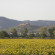 Agriturismo Le Terre Dei Cavalieri 