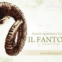 Fantone 