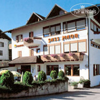 Sass Maor hotel San Martino di Castrozza 3*