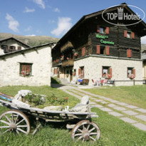 Capriolo hotel Livigno 