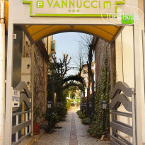 Vannucci 