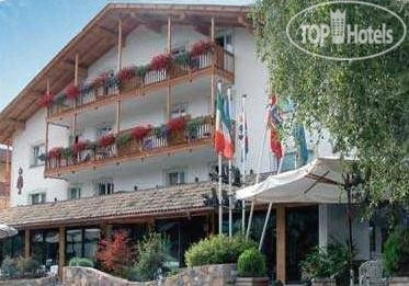 Фотографии отеля  Los Andes hotel Castello di Fiemme 3*