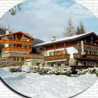 Al Pini Hotel Vigo di Fassa 3*