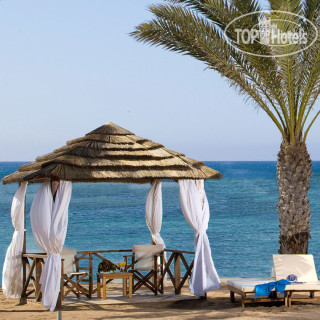 Фото отеля Constantinou Bros Athena Royal Beach Hotel 4*