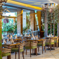 Four Seasons Limassol Cyprus Tropical Restaurant