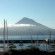 Фото Faial Resort