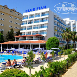 Фото отеля Blue Fish Hotel 4*