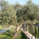 Natureland Efes Pension 