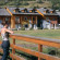 Chalets du Jardin Alpin 