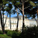 Hotel du Cap Eden Roc 