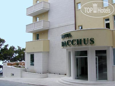 Фотографии отеля  Bacchus 4*