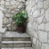 Lucija Apartments Dubrovnik Апартаменты 6+1 (каменные ступ