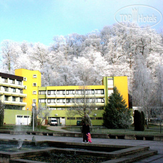 Фото отеля Top Terme 2*