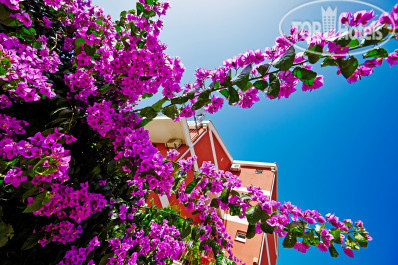Vila Bojana 3* - Фото отеля