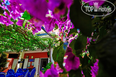 Vila Bojana 3* - Фото отеля