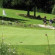 Golfhotel Les Hauts de Gstaad 