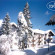 Sunstar Alpine Hotel Flims 