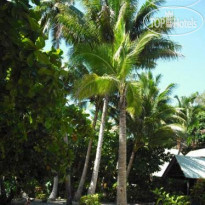 Matana Beach Resort - Dive Kadavu 