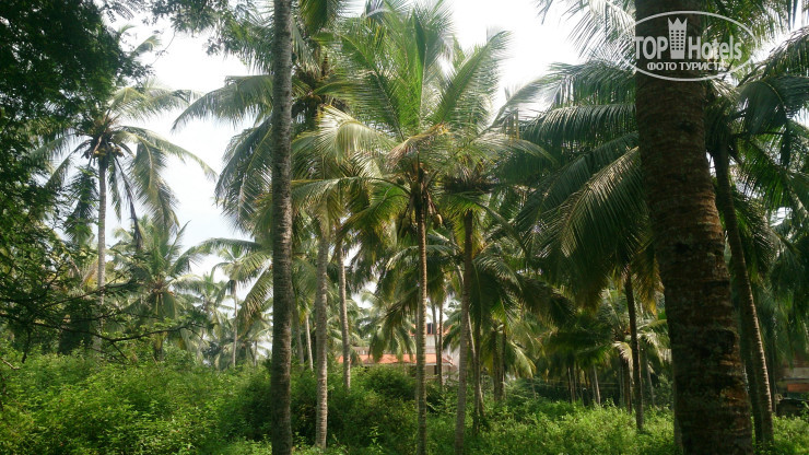 Фотографии отеля  Agastyaa Heritage Ayurvedic Hospital 