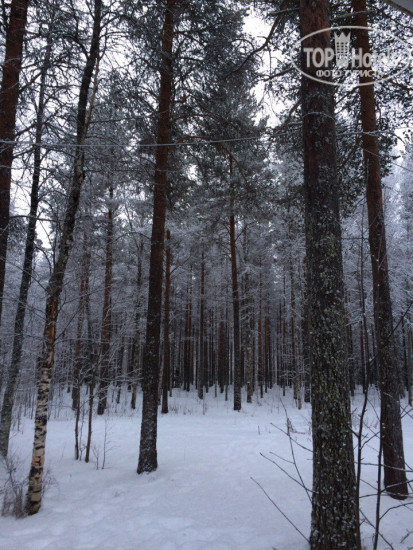 Фотографии отеля  Scandinavian Dream 