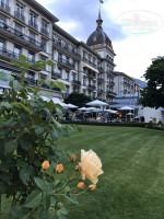 Victoria - Jungfrau Grand hotel & Spa 5*