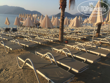 Palmea Hotel 4* Вот какие расстояния у отелей со своим пляжем - Фото отеля
