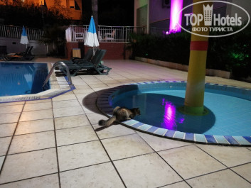 Palmea Hotel 4* Коты - Фото отеля