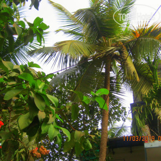 Фото отеля Indian Kitchen