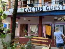 Cactus Guesthouse