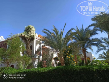 Pickalbatros Aqua Blu Resort - Sharm El Sheikh 4* Жилища местных - Фото отеля