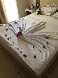 Artemis Princess 4* - Фото отеля