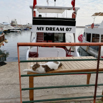 Artemis Princess 4* - Фото отеля