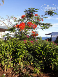 Leopard Beach Resort & Spa 4* - Фото отеля