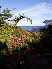 Leopard Beach Resort & Spa 4* - Фото отеля