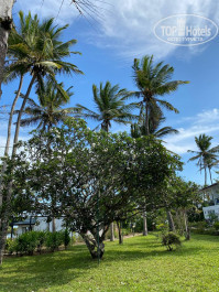 Leopard Beach Resort & Spa 4* - Фото отеля