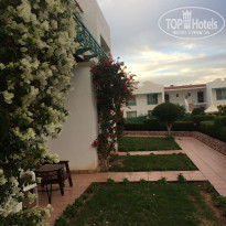 Panorama Naama Heights