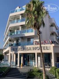 Palmea Hotel 4* - Фото отеля