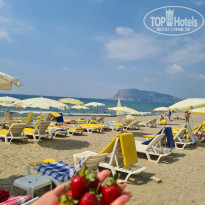 Artemis Princess 4* - Фото отеля