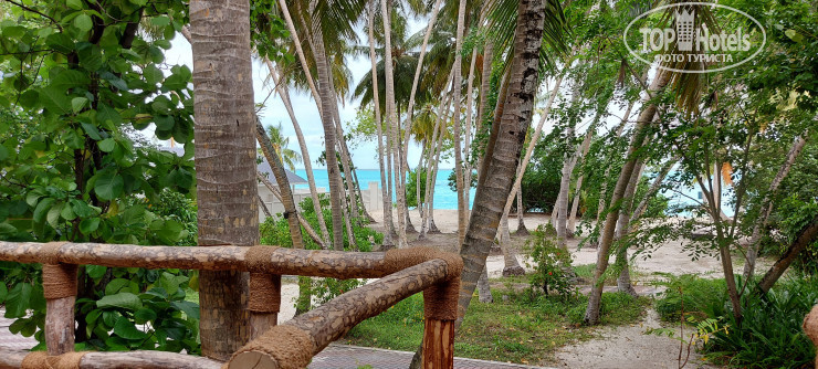 Новые добавленные фото туристов в Sun Island Resort & Spa 5*