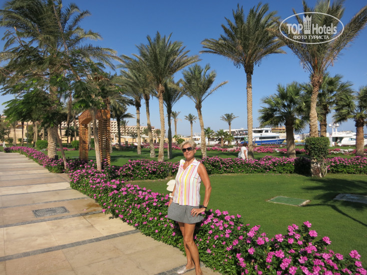 Новые добавленные фото туристов в Hilton Hurghada Plaza 5*