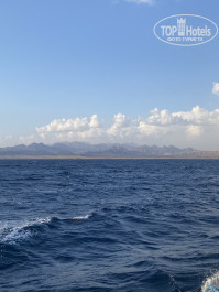 Pickalbatros Aqua Blu Resort - Sharm El Sheikh 4* - Фото отеля