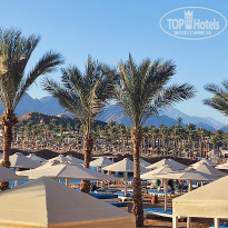 Pickalbatros Aqua Blu Resort - Sharm El Sheikh 4* - Фото отеля